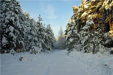 《刺客信条：幻景》iOS版6月6日推出 售价50美元